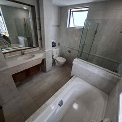 Twin Heights (D12), Apartment #502897151